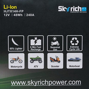 Skyrich HJTX14H-FP batteria ricaricabile industriale Litio 12 V