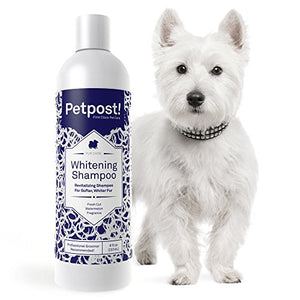 Petpost | Shampoo sbiancante per Cani – Il miglior Trattamento 237 mL