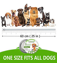 Carica l&#39;immagine nel visualizzatore di Gallery, PROZADALAN [2 PCS] Collare Antipulci Cane, Antiparassitario per Cani per...