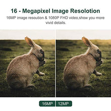 Carica l&#39;immagine nel visualizzatore di Gallery, DIGITNOW! Fotocamera da Caccia 16MP 1080P HD Impermeabile, 120°Ampia visuale...
