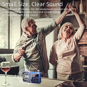 PRUNUS L-238SW Radio Portatile SW FM AM(MW) SD USB MP3 con Azzurro/Blu