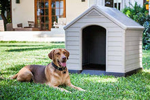 Carica l'immagine nel visualizzatore di Gallery, Curver 12-921177 - Cuccia Per Cani in PVC resina, Beige/Marrone, 95 x 99... - Ilgrandebazar