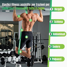Carica l&#39;immagine nel visualizzatore di Gallery, Loop Bands, 4 Diversi Livelli di Resistenza, Elastici Palestra con Ancoraggi Porta e Impugnature, Elastico Trazioni per l&#39;allenamento Della Forza, Ginnastico, la Fisioterapia, lo Yoga per Uomo e Donna