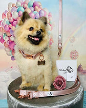 Carica l'immagine nel visualizzatore di Gallery, Marca deluxe per cani/elegante &amp; di alta qualità/da incidere. oro rosa.