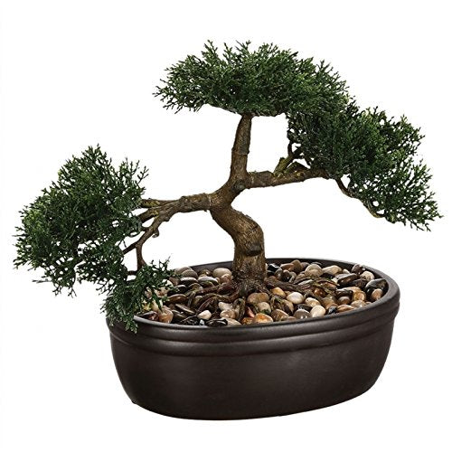Bonsai-Vaso in ceramica, H .23 cm - Ilgrandebazar