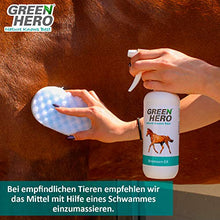 Carica l&#39;immagine nel visualizzatore di Gallery, Green Hero freni – Ex Spray per cavalli, 500 ML, Blocker contro freni,...