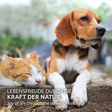 Carica l&#39;immagine nel visualizzatore di Gallery, AniForte Olio di Cocco Biologico per Cani e Gatti 1 litro - Prima spremitura...