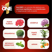 Carica l'immagine nel visualizzatore di Gallery, NUTRI 1 ONE NutriONE Concime concentrato per Piante e Fiori, 1 litro, 1000 unità