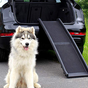 Dibea DR00890, Rampa Piegabile per Cani Animali in Plastica, 156 x 40 cm,...