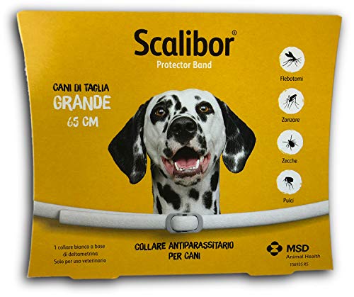 Scalibor Collare, 65 cm - MSD Animal Health
