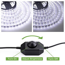 Carica l&#39;immagine nel visualizzatore di Gallery, 6M Striscia LED Dimmerabile 12V, Novostella 1800LM SMD2835 360 Bianco Freddo - Ilgrandebazar