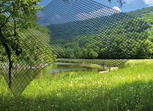Carica l&#39;immagine nel visualizzatore di Gallery, Tesa 55915-00021-00 Zanzariera per Finestra, qualità Comfort, 1,70 x 1,80 m,...