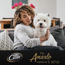 Carica l'immagine nel visualizzatore di Gallery, Cesar Ricette di Campagna Cibo per Cane con Pollo e Misto Verdurine 150 g...