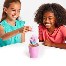 Carica l'immagine nel visualizzatore di Gallery, IMC Toys Blume Vasetto Sorpresa Bambola da Annaffiare, Multicolore, 92471 - Ilgrandebazar