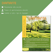 Carica l&#39;immagine nel visualizzatore di Gallery, AGRI-CULTURA Diamante - Semi prato 1 Kg - Semi erba prato resistenti alla siccità ,adatti a tutti i terreni e luoghi [Ideale per tappeti erbosi sportivi ed ornamentali]