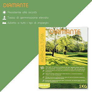 AGRI-CULTURA Diamante - Semi prato 1 Kg - Semi erba prato resistenti alla siccità ,adatti a tutti i terreni e luoghi [Ideale per tappeti erbosi sportivi ed ornamentali]