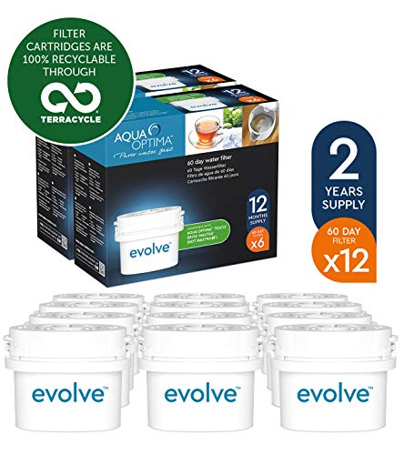 Aqua Optima Evolve confezione 2 anni, 12 filtri per acqua x 60 giorni - 3.8 L - Ilgrandebazar