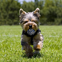 Carica l'immagine nel visualizzatore di Gallery, Toozey Giochi per Cani di Piccola Taglia/Cuccioli - 7pcs Cane... - Ilgrandebazar
