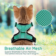 Carica l'immagine nel visualizzatore di Gallery, rabbitgoo Pettorina per Gatti con XS(Collo:22-28cm Petto:25-51cm), Verde