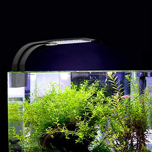 NICREW Luce Acquario Ultrasottile, Mini Lampada con 24 LEDs Nero