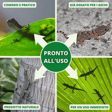 Carica l&#39;immagine nel visualizzatore di Gallery, Gardemia Disabituante Anti Gechi 750ml Spray Sgradito Azione Naturale Barriera Vegetale Che Disabitua Lucertole Rettili Casa Balcone Dissuasore Alternativa Eco a Repellente Veleno Naftalina Trappole