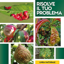 Carica l&#39;immagine nel visualizzatore di Gallery, Albagarden - Fungicida Piante Per Bolla Del Pesco Per Agricoltura Biologica - Lecitina Funghicida Naturale Per Trattamento di Oidio Peronospora Alternaria - Polvere Solubile X 100 gr