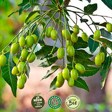Carica l'immagine nel visualizzatore di Gallery, i Consigli dell'Esperto Olio di NEEM ad Uso Non Alimentare, Flacone 240 ml
