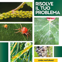 Carica l'immagine nel visualizzatore di Gallery, Albagarden Tripla Azione Naturale - Insetticida - Fungicida - Acaricida Per Piante Pronta All'Uso A Base Di Equiseto E Ortica - Spray Biologico X 1 Lt