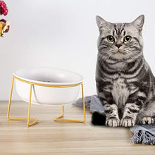 Carica l'immagine nel visualizzatore di Gallery, HCHLQLZ Bianco Ceramica Inclinato Alzato Ciotole per Cani grande, bianco