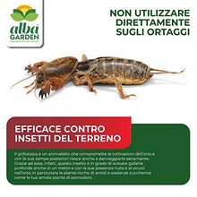 Carica l&#39;immagine nel visualizzatore di Gallery, Albagarden - Albakill Esca Anti Formiche Orto e Giardino - Insetticida Micro Granulare Per Ambienti Esterni - Scarafaggi Blatte Grillotalpa Insetti Pulci Zecche - Solubile Spray Antiformiche x 1 Kg