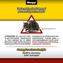 Carica l'immagine nel visualizzatore di Gallery, Veleno per Topi e Ratti, Esca Topicida Ratticida Professionale Potente, Novità Aroma all'Anice, Uso Esterno Interno Casa, Disinfestazione Rimedi Eliminare Roditori Azione Forte BlockRat - 300 g