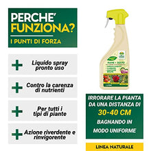 Carica l&#39;immagine nel visualizzatore di Gallery, Albagarden - Rame + Zolfo Spray 1 Litro - Concime Effetto Fungicida Piante Contro Le Malattie - Per Ingiallimenti, Carenze, Macchie Brune, Oidio, Peronospora - Per Orto Giardino E Piante Verdi