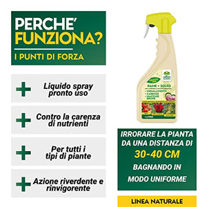 Albagarden - Rame + Zolfo Spray 1 Litro - Concime Effetto Fungicida Piante Contro Le Malattie - Per Ingiallimenti, Carenze, Macchie Brune, Oidio, Peronospora - Per Orto Giardino E Piante Verdi