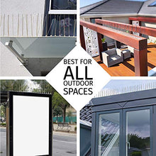 Carica l&#39;immagine nel visualizzatore di Gallery, ASPECTEK Kit spuntoni per Uccelli in Acciaio Stainless Steel Without Glue