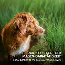 Carica l&#39;immagine nel visualizzatore di Gallery, AniForte WermiX per Cani 50 Capsule - Prodotto Naturale Prima, Durante e...
