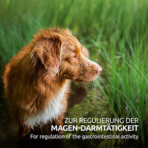 AniForte WermiX per Cani 50 Capsule - Prodotto Naturale Prima, Durante e...