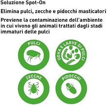 Carica l&#39;immagine nel visualizzatore di Gallery, 10