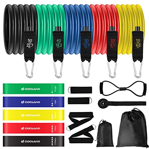 Set Elastici Fitness con 5 Fasce di Resistenza, Bande Elastiche, Maniglie, Cinghie per Caviglia, Ancoraggio da Porta, Kit Allenamento per Fitness Yoga Pilates, Color