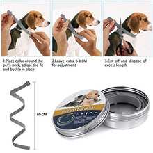 Carica l&#39;immagine nel visualizzatore di Gallery, NINGBO CHANSON Collare Antipulci per Cane e Gatto, 60cm Collare... - Ilgrandebazar