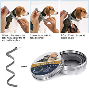 NINGBO CHANSON Collare Antipulci per Cane e Gatto, 60cm Collare... - Ilgrandebazar