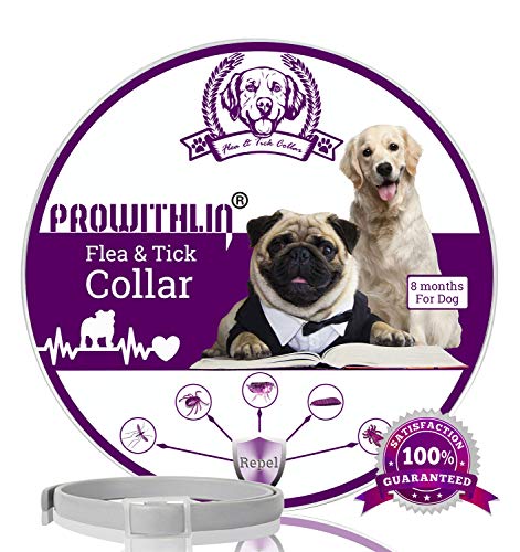 Collare antipulci e zecche per Cani, Regolabile Impermeabile, 1 pacco
