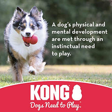 Carica l'immagine nel visualizzatore di Gallery, KONG - Flyer - Frisbee in Gomma Resistente per Cani- Cani di Taglia...