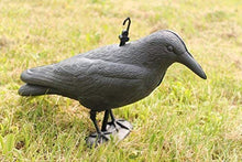 Carica l&#39;immagine nel visualizzatore di Gallery, HelpAccess spaventapasseri/Spaventa Piccioni, Set 3 corvi repellenti - Ilgrandebazar