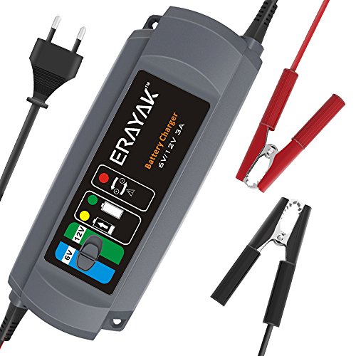 ERAYAK 3.0A 6V/12V Caricabatterie Carica Batteria per Auto e Moto Automatico... - Ilgrandebazar