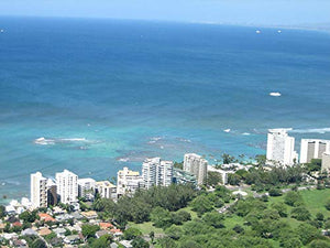 Fatti a mano alle Hawaii,"Doppia Turtles" Turquoise Bay orecchini di vetro... - Ilgrandebazar