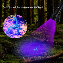 Carica l'immagine nel visualizzatore di Gallery, YOUTHINK Torcia UV, Lampada Ultravioletta 395nm per Animali Cane 51 LEDs