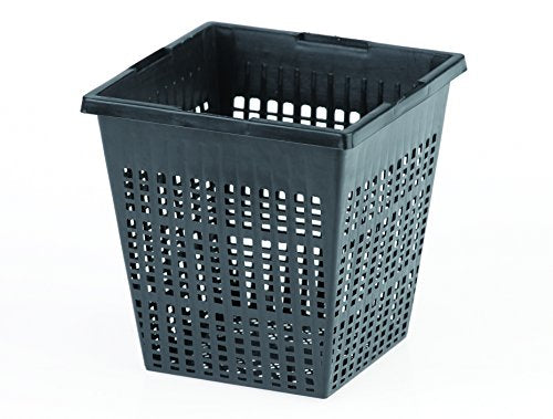 Oase Cestello per Piante Quadrangolare 11, Nero, 1.1x1.1x1.1 cm, Nero