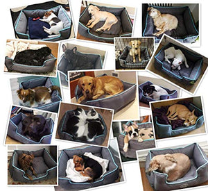 Cuccia per Cani Sfoderabile Cuscino Rettangolare in M( 63×53 cm), Grigio