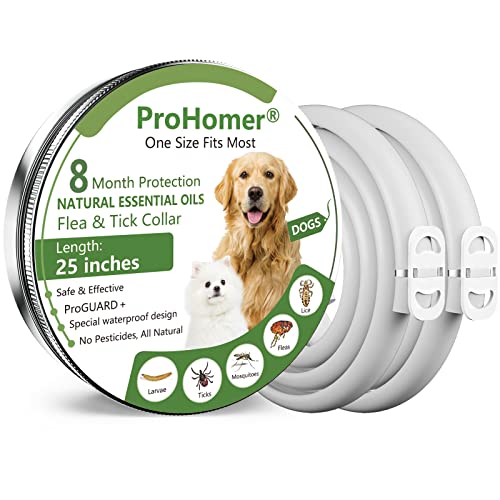 PROZADALAN [2 PCS] Collare Antipulci Cane, Antiparassitario per Cani per Tutti i Tipi di Cani Impermeabile, 8 Mesi di Efficacia Protezione, Formula Naturale