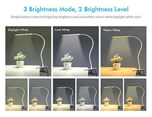 Carica l&#39;immagine nel visualizzatore di Gallery, OxyLED Lampada da scrivania con 24 luci T34 White Clip Table Lamp - Ilgrandebazar